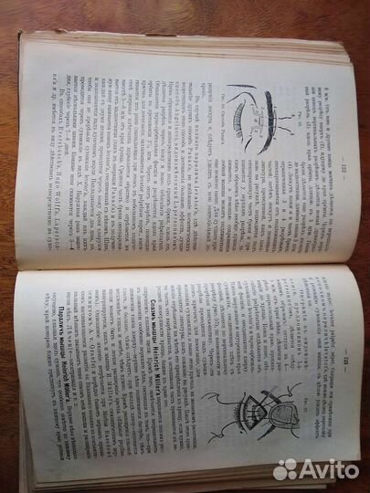 Антикварная книга 