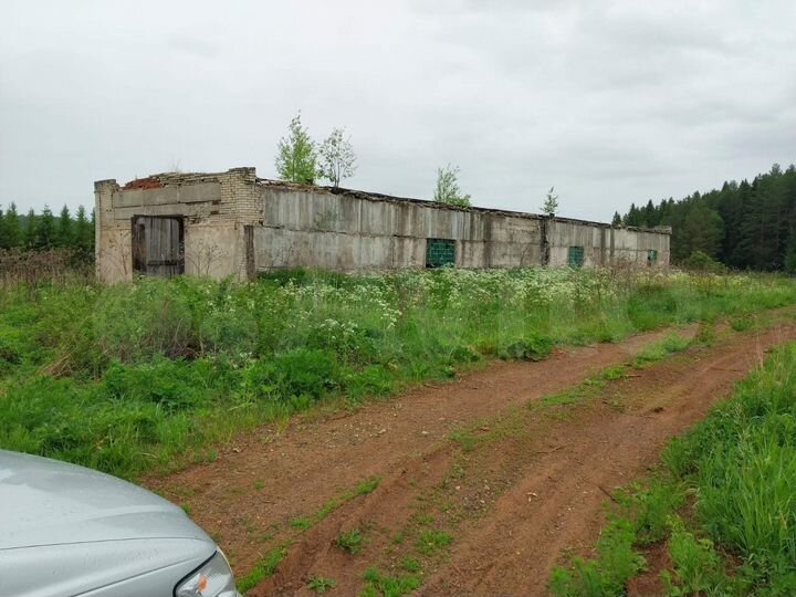 Участок 49,5 га (СНТ, ДНП)