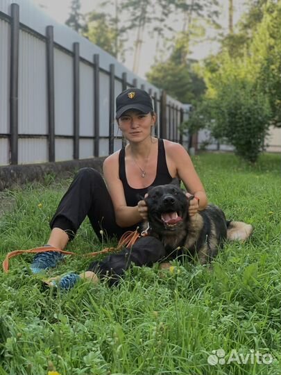 Кинолог для Вашей семьи