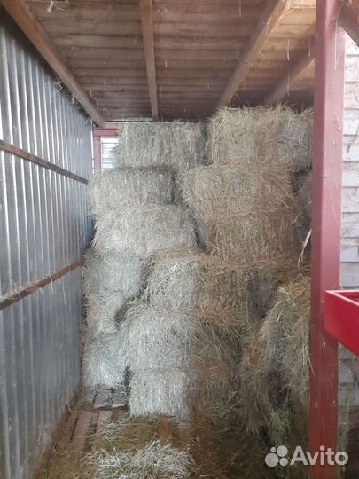 Сено в тюках