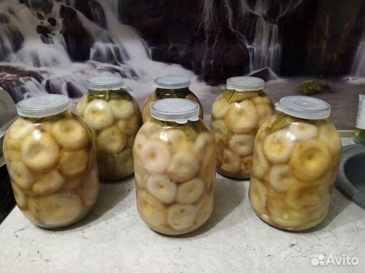 Груздь сырой, соленые