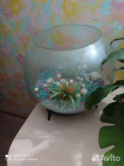 Большой круглый аквариум