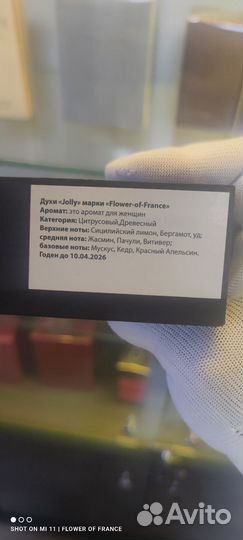 Dolce&gabbana Q by женский французский аналог