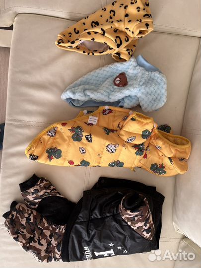 Одежда для собак