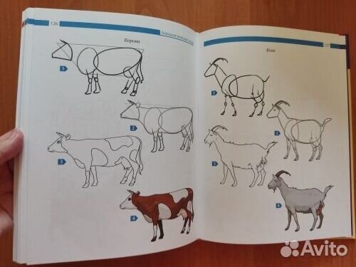 Учебник рисования для начинающих