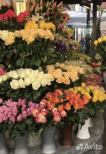 Доставка цветов букеты роз 101 роза