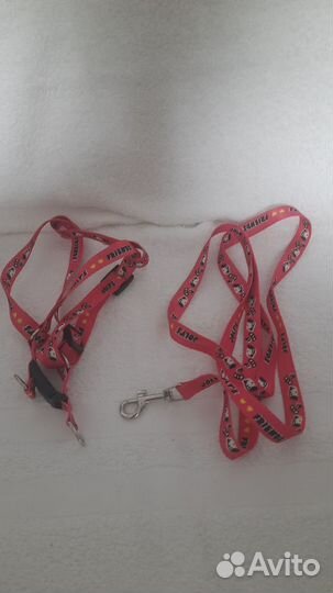 Лоток для кошек