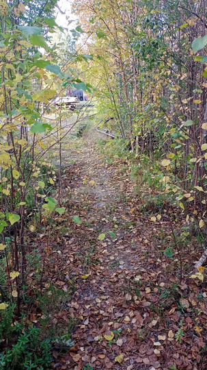 Дача 12 м² на участке 12 сот.