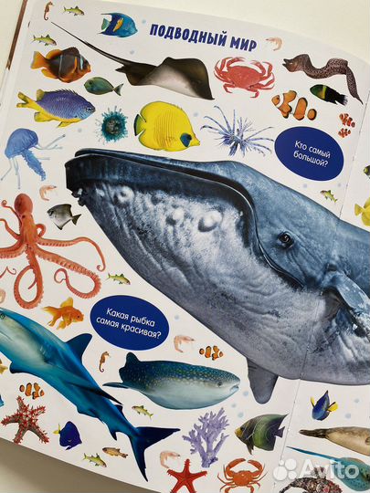 Большая книга малыша животные