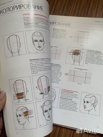 Журнал Hairs Coloring