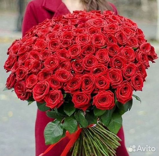 Розы Высокие 150см 160см 170см 180см 190см 2м