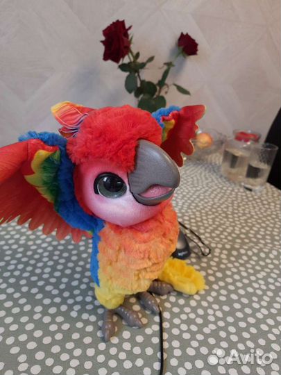 Интерактивный попугай