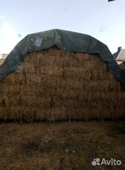 Солома в тюках и мешках пшеничная