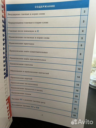 Русский язык. Орфография