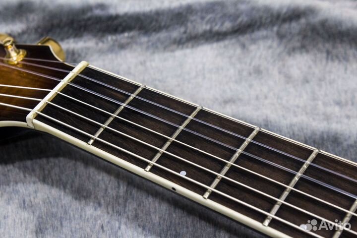 Электроакустика Morris MR 10-G Nylon Массив. Japan