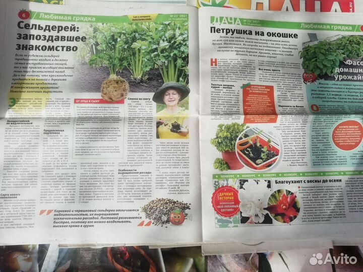 Газета Дача новая