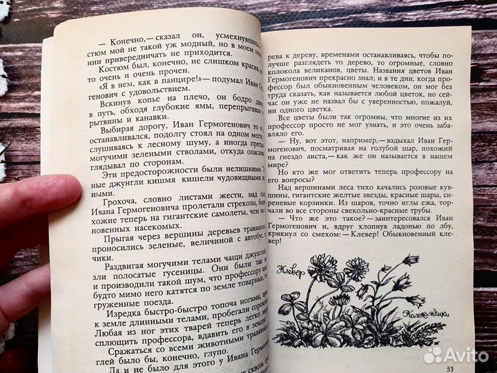 Ян Ларри. Необыкновенные приключения Карика и Вали