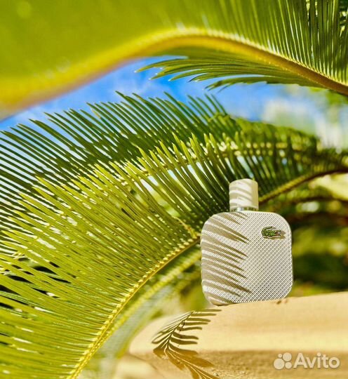 Lacoste духи white
