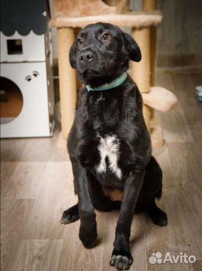 Девочка 9мес