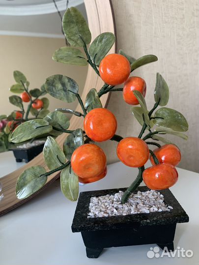 Мандариновое дерево