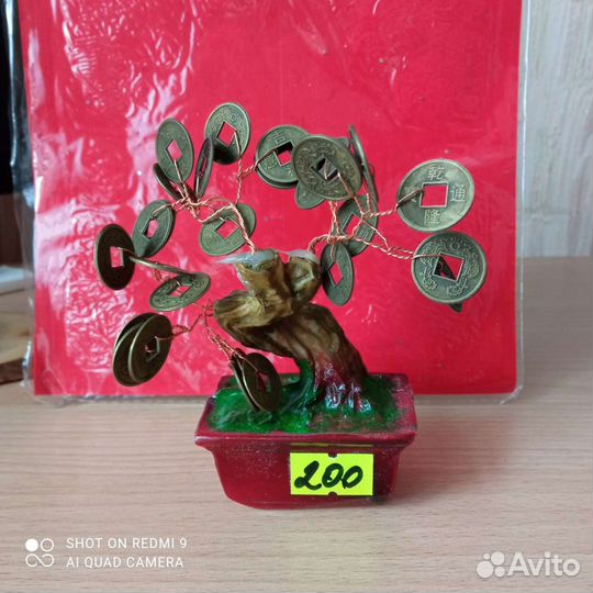 Денежное дерево