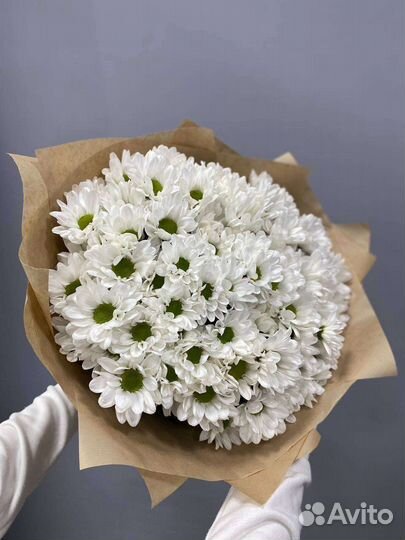 Большой букет из ромашек (хризантем)