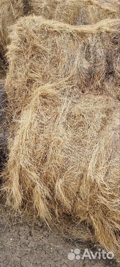 Отходы льна