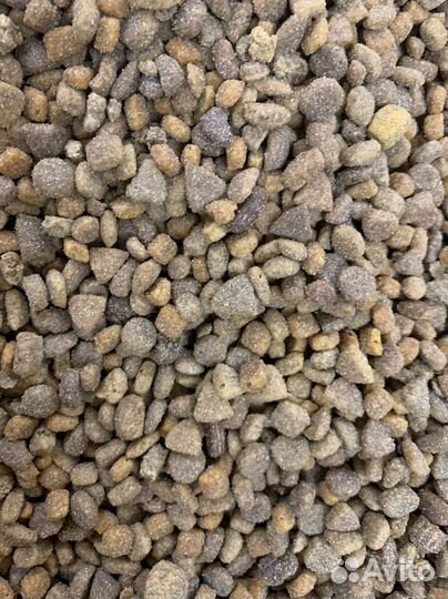 Сухой корм для собак