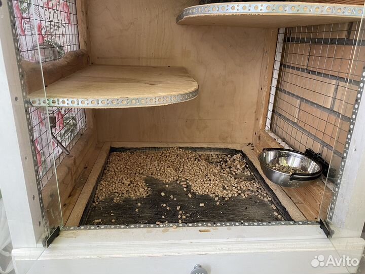 Витрина для шиншилл бу