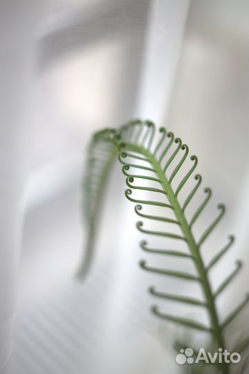 Пленочный фотоаппарат зенит 122