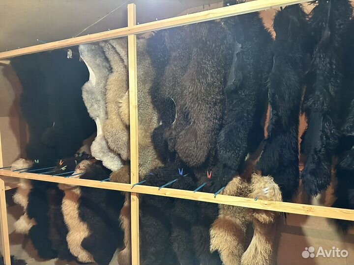 Овечья шкура натуральная