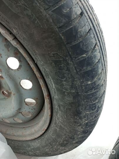 Accelera 651 Sport 175/75 R14 22H