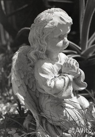 Фотопленка ч/б 35мм Тасма кн-3