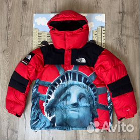 North face deals x supreme puffer