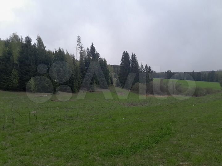 Участок 5 га (СНТ, ДНП)