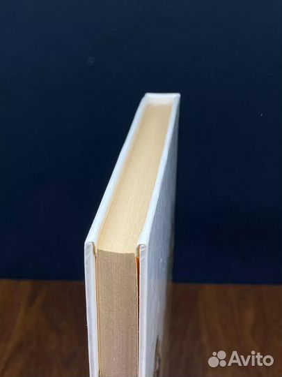 Неукротимая Анжелика. В двух книгах. Книга 1