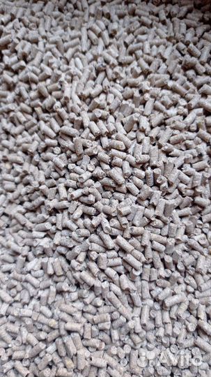 Корм для птицы