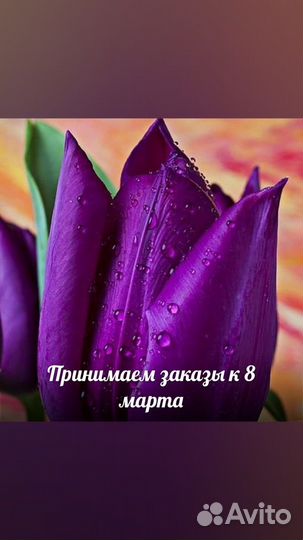 Тюльпаны к 8 марта оптом