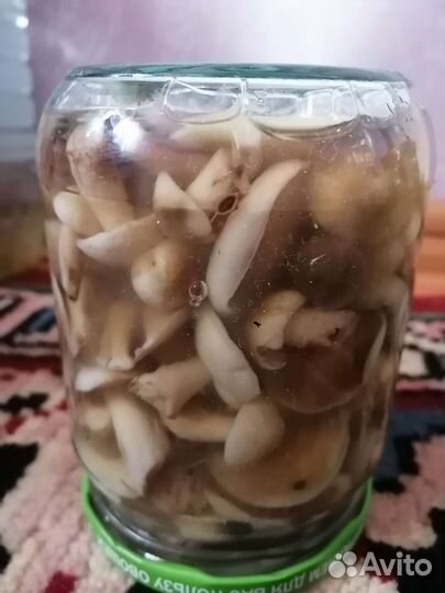 Грибы свежие и маринованные