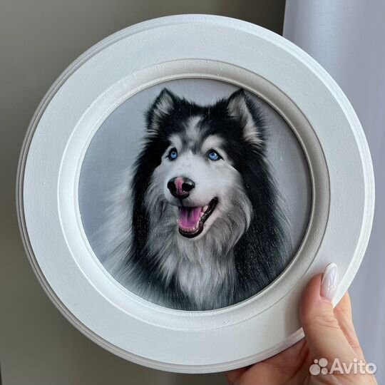 Картина Собака Хаски