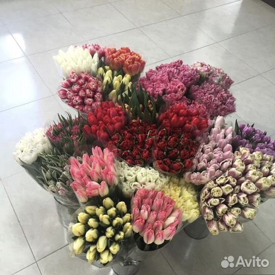 Тюльпаны букет цветов