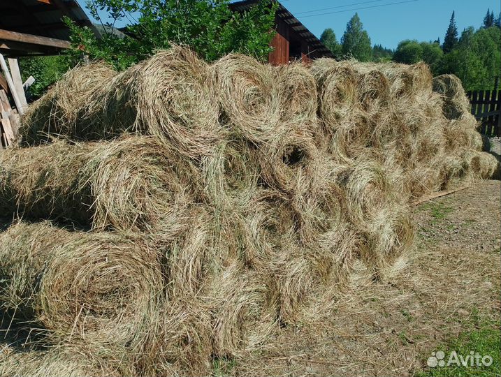 Сено в мини рулонах