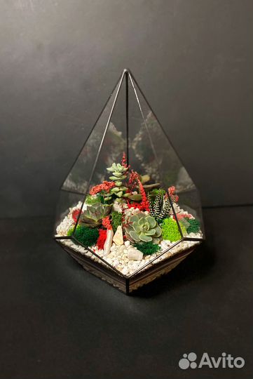 Флорариум 