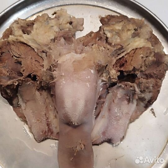 Баранья голова, чуду с требухой