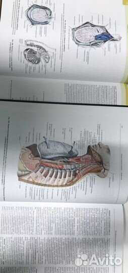 Атлас анатомии человека. Синельников. Тома 1-3