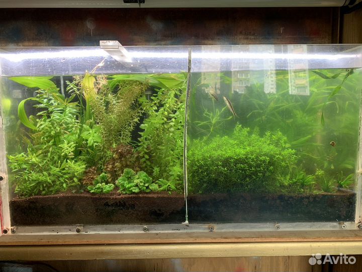Аквариум в сборе