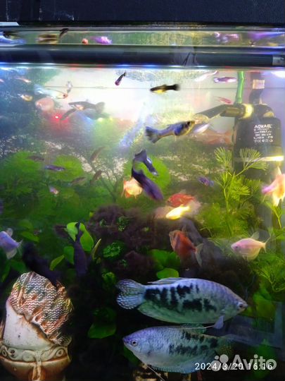 Украшение для аквариума