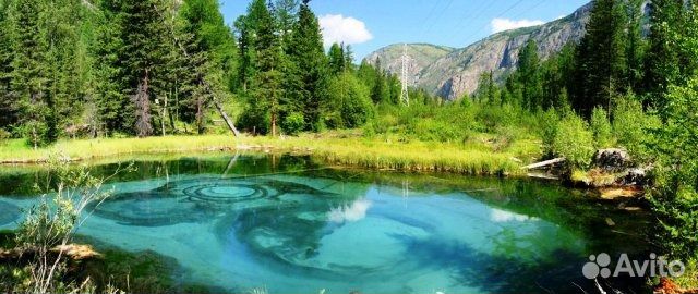 Экскурсионные туры по Алтаю из Омска