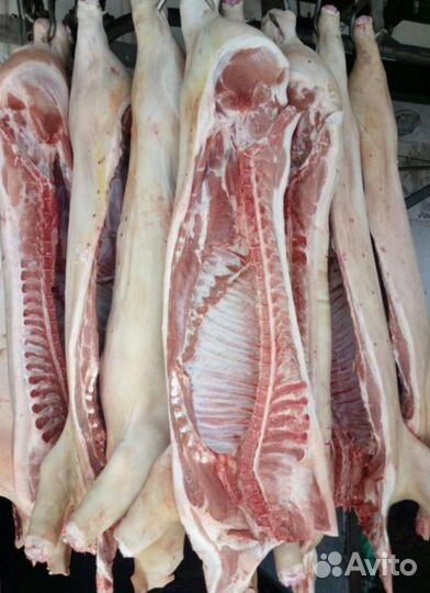 Полутуша свиная