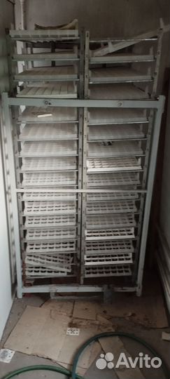 Инкубатор для яиц автоматический бу